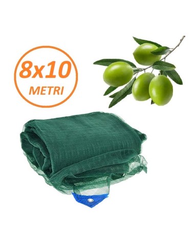 Rete Raccolta Olive 8x10 mt Telo Antispina Angoli Rinforzati con Occhielli Confine